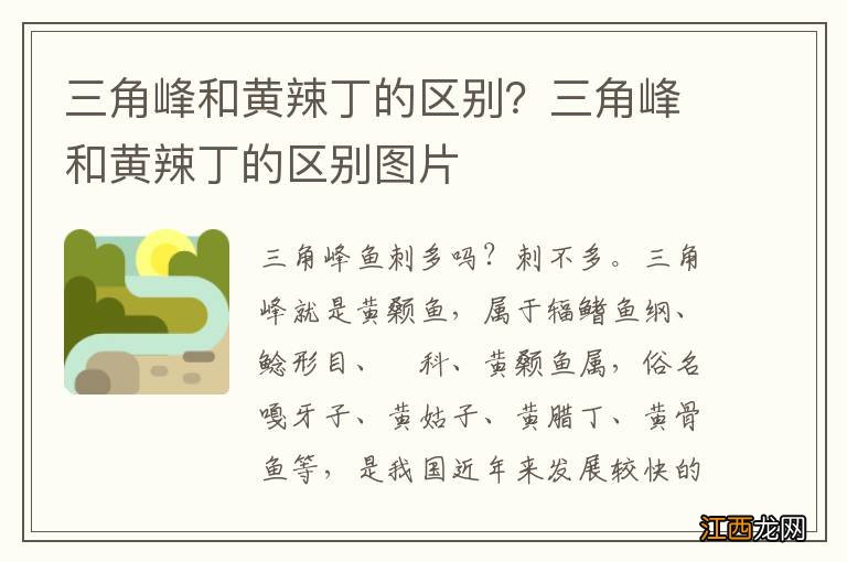 三角峰和黄辣丁的区别？三角峰和黄辣丁的区别图片