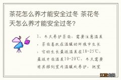 茶花怎么养才能安全过冬 茶花冬天怎么养才能安全过冬?