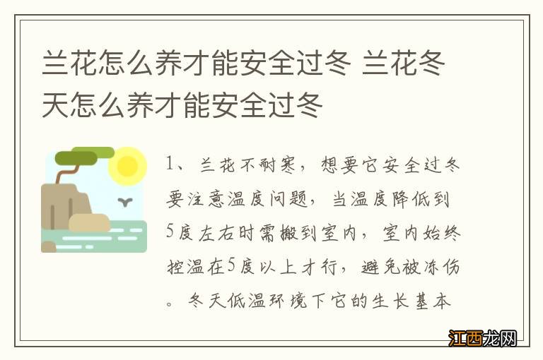 兰花怎么养才能安全过冬 兰花冬天怎么养才能安全过冬