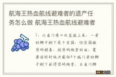 航海王热血航线避难者的遗产任务怎么做 航海王热血航线避难者的遗产任务如何做