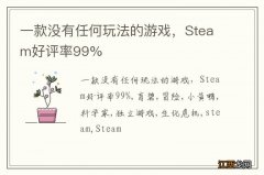 一款没有任何玩法的游戏，Steam好评率99%