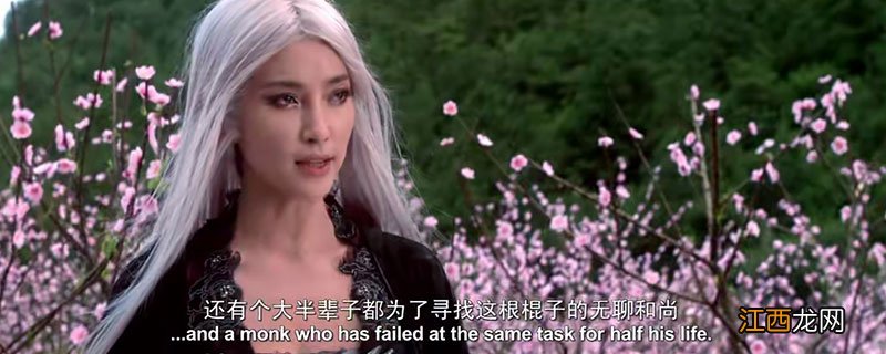 功夫之王白发魔女是谁 功夫之王白发魔女扮演者