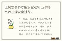 玉树怎么养才能安全过冬 玉树怎么养才能安全过冬?