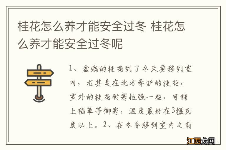 桂花怎么养才能安全过冬 桂花怎么养才能安全过冬呢