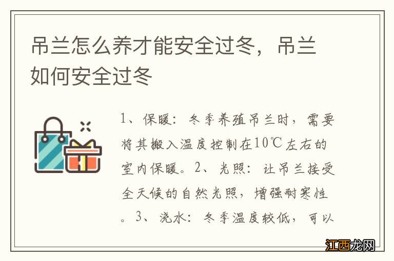 吊兰怎么养才能安全过冬，吊兰如何安全过冬