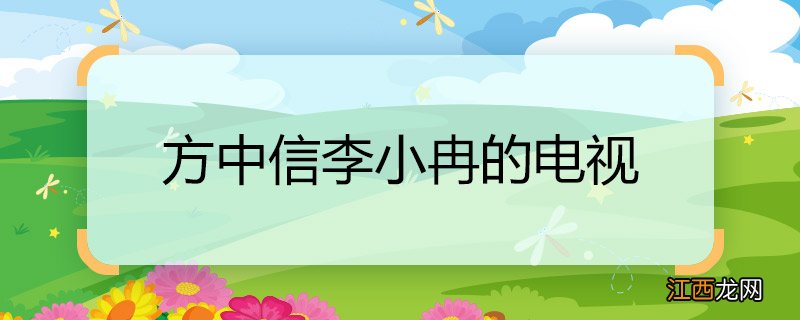 方中信李小冉的电视 方中信李小冉的电视名称