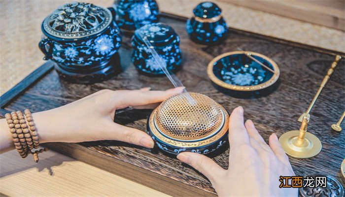 奇楠沉香树苗适合在哪里种植 沉香木种植技术