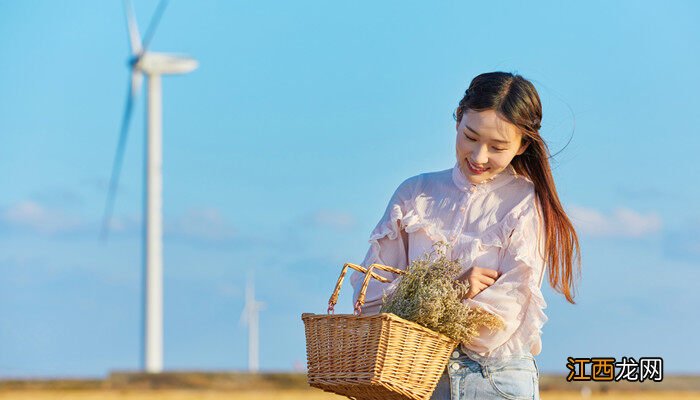 情人草花语