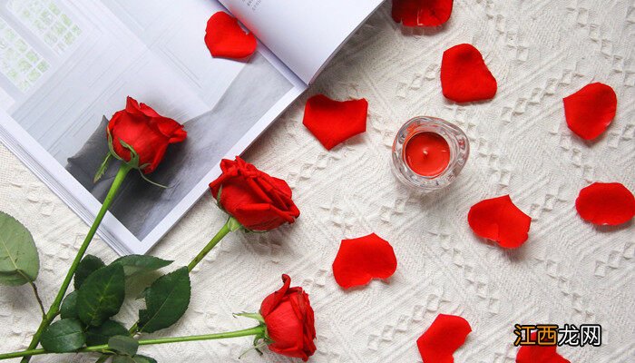 买的玫瑰花如何种植 玫瑰花如何种植