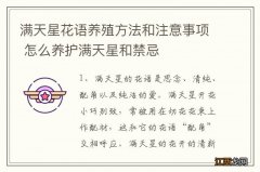 满天星花语养殖方法和注意事项 怎么养护满天星和禁忌