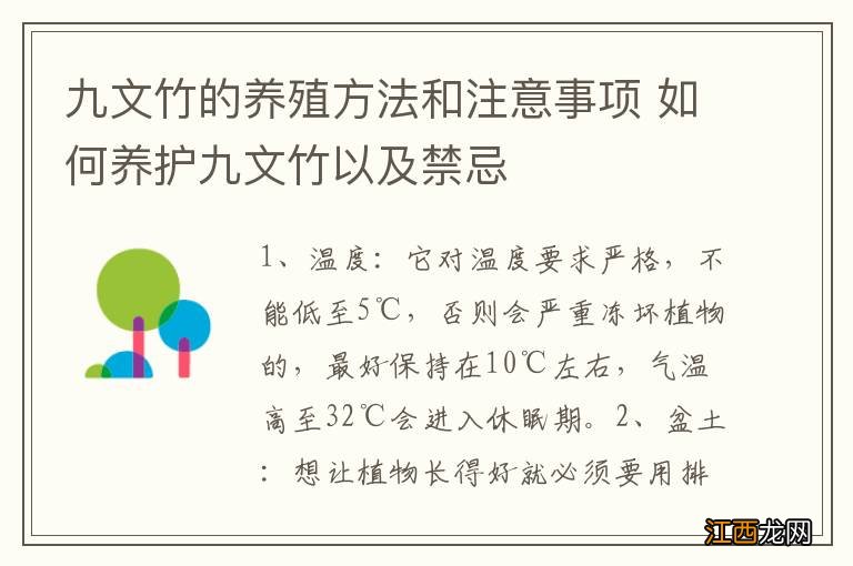 九文竹的养殖方法和注意事项 如何养护九文竹以及禁忌