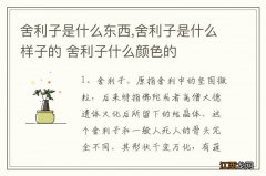 舍利子是什么东西,舍利子是什么样子的 舍利子什么颜色的