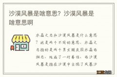 沙漠风暴是啥意思？沙漠风暴是啥意思啊