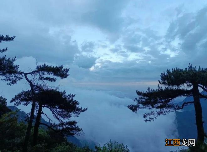 想要看雪,不去北方,不出江西,九江这处美景,浪漫的刚刚好