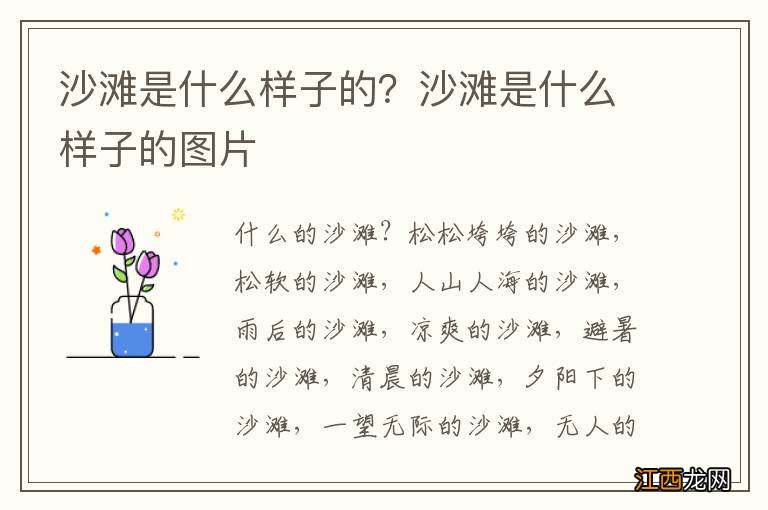 沙滩是什么样子的？沙滩是什么样子的图片