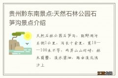 贵州黔东南景点:天然石林公园石笋沟景点介绍