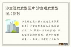 沙宣短发发型图片 沙宣短发发型图片新款