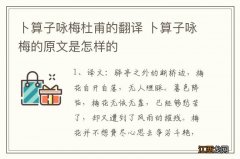 卜算子咏梅杜甫的翻译 卜算子咏梅的原文是怎样的