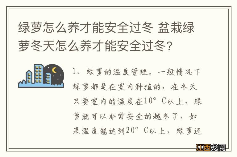 绿萝怎么养才能安全过冬 盆栽绿萝冬天怎么养才能安全过冬?