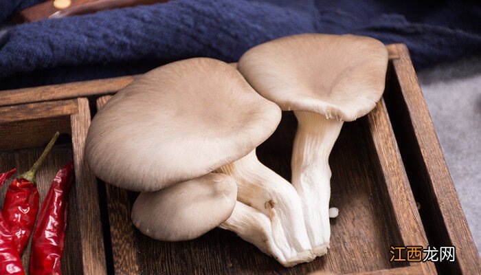 平菇怎么种植方法家种 平菇怎么种植