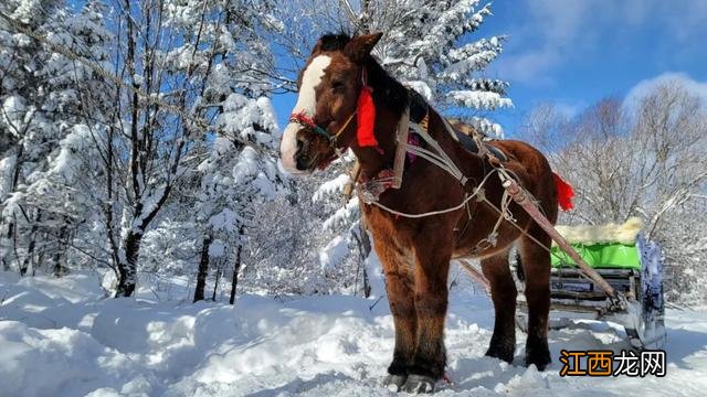 冰雪仙境 老里克湖的游玩攻略