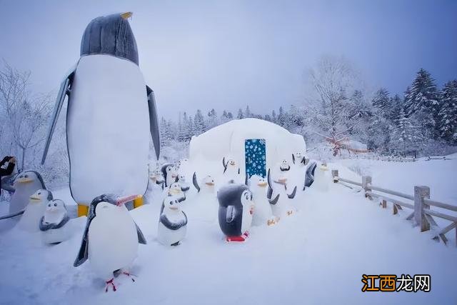 冰雪仙境 老里克湖的游玩攻略