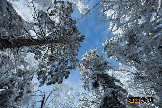 冰雪仙境 老里克湖的游玩攻略