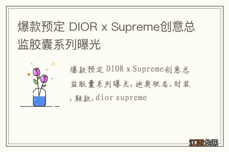 爆款预定 DIOR x Supreme创意总监胶囊系列曝光