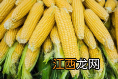 女人吃哪些食物可以抗衰老?女人日常养生有哪些常识?