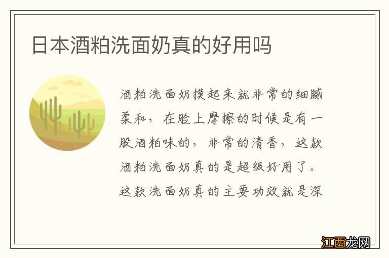 日本酒粕洗面奶真的好用吗