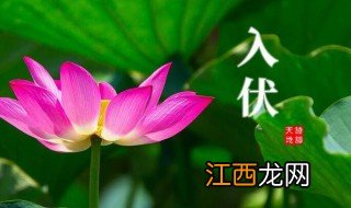 三伏天从什么时候开始算 夏天的三伏天是哪几天