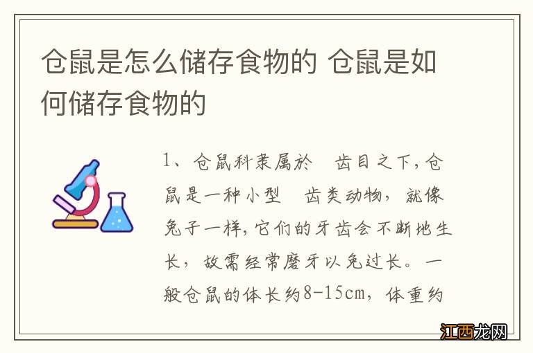 仓鼠是怎么储存食物的 仓鼠是如何储存食物的