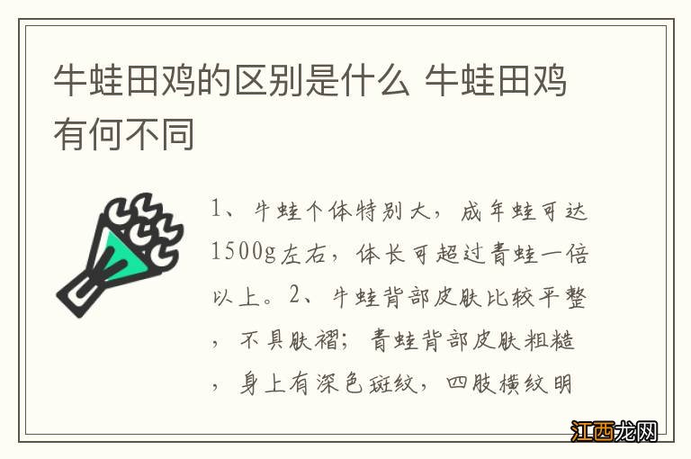 牛蛙田鸡的区别是什么 牛蛙田鸡有何不同