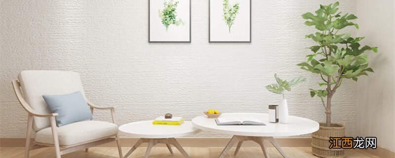 橡皮树放在哪里旺风水好 橡皮树放在哪里旺风水