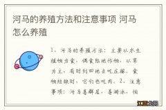 河马的养殖方法和注意事项 河马怎么养殖