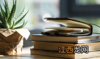 人道主义是什么意思 人道主义的释义