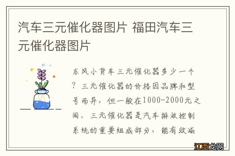 汽车三元催化器图片 福田汽车三元催化器图片