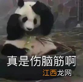 网红圈塌了?18岁美少女被告知塌房,恋爱中无缝衔接?