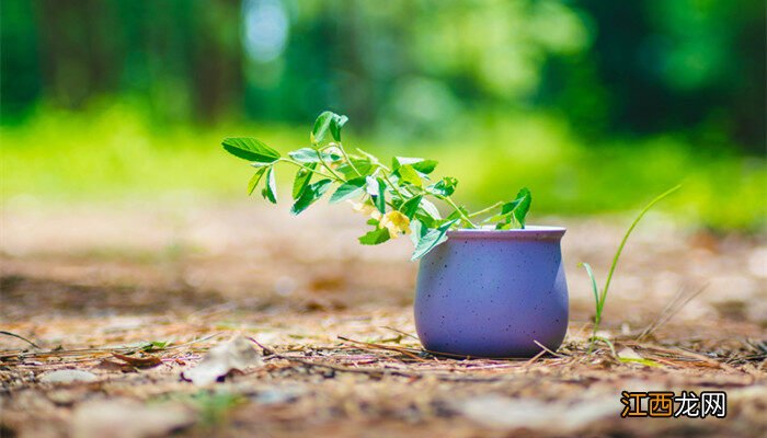 碱性水怎么调节酸性水 碱性水怎么调节为酸性