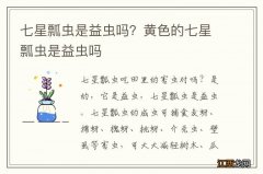 七星瓢虫是益虫吗？黄色的七星瓢虫是益虫吗