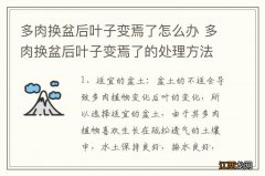 多肉换盆后叶子变焉了怎么办 多肉换盆后叶子变焉了的处理方法