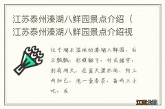 江苏泰州溱湖八鲜园景点介绍视频 江苏泰州溱湖八鲜园景点介绍