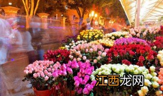 26种常见玫瑰花品种 玫瑰花的相关知识