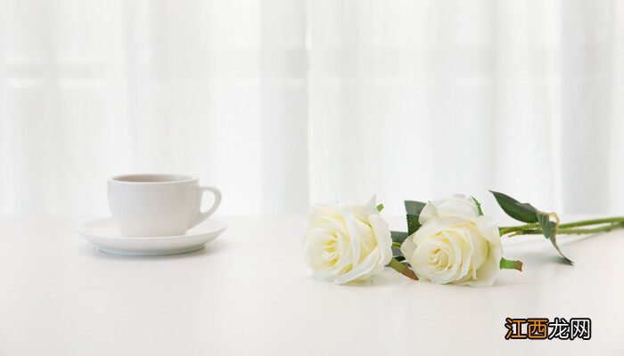 11朵白玫瑰代表什么意思 11朵白玫瑰代表什么