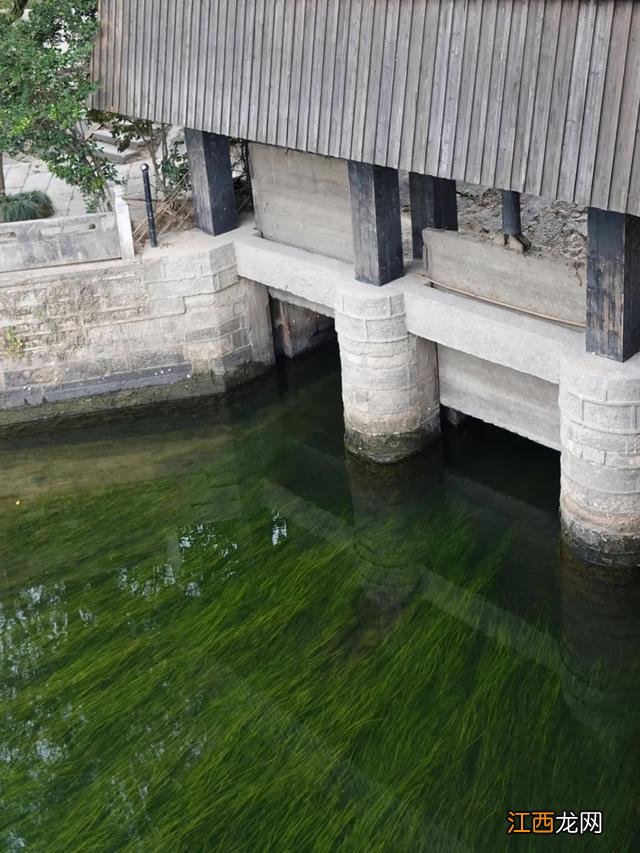 浙西南环游，丽水莲都，夜宿古堰画乡