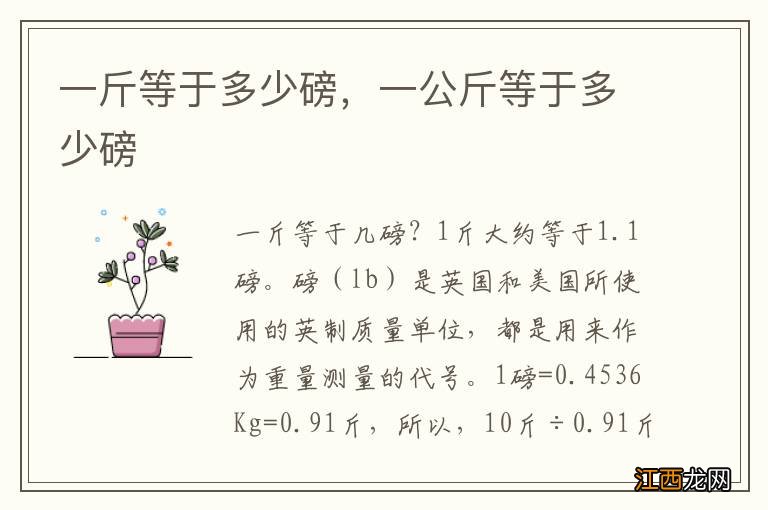 一斤等于多少磅,一公斤等于多少磅