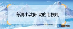 海清小沈阳演的电视剧 海清小沈阳演的电视剧是什么