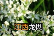 孕妇吃什么零食比较好 5种绝佳零食推荐