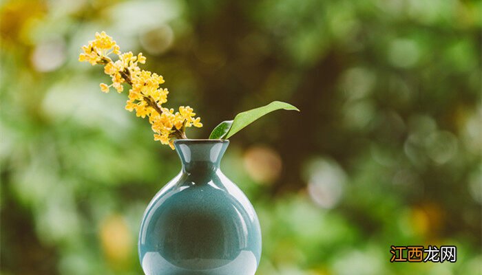 桂花树镇宅还是招鬼 院子里种桂花树的禁忌