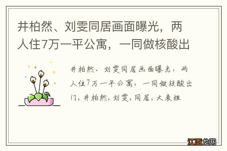 井柏然、刘雯同居画面曝光，两人住7万一平公寓，一同做核酸出门